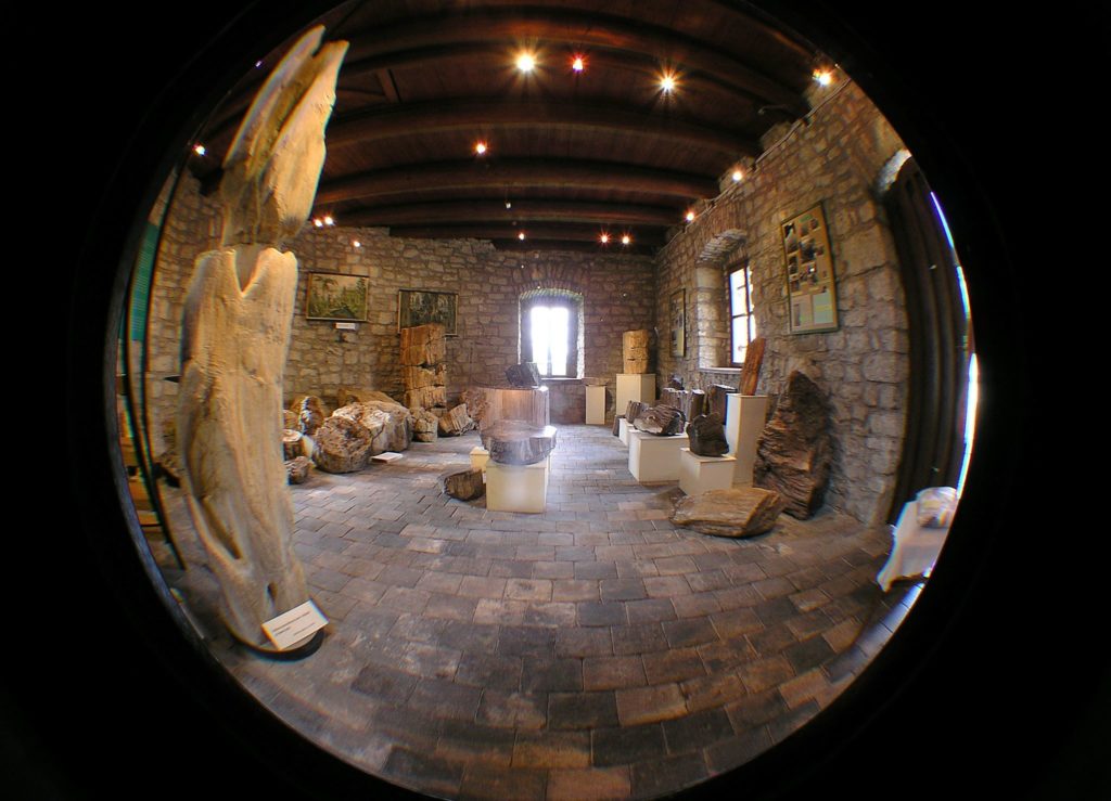 muzeum zkamenělý les