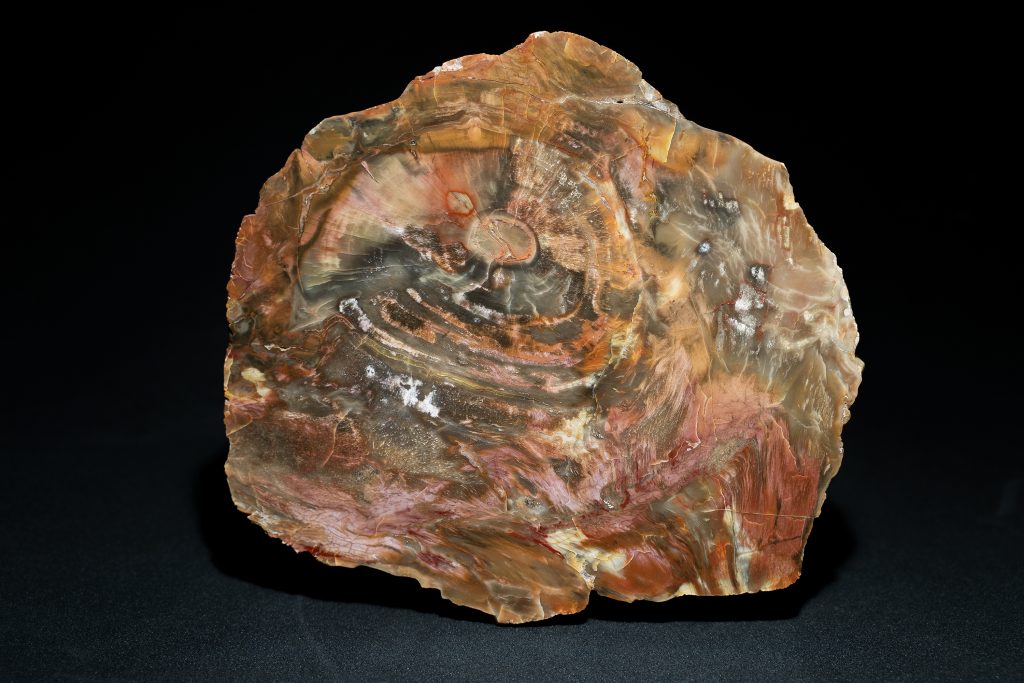 Araukarit, Očihov, 20x19x10 cm